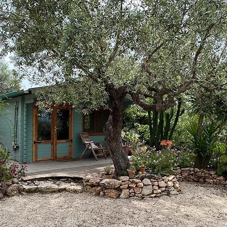 Finca Florecer Tivenys Εξωτερικό φωτογραφία