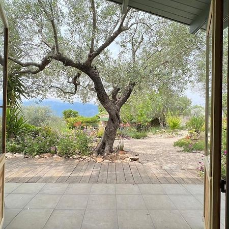 Finca Florecer Tivenys Εξωτερικό φωτογραφία