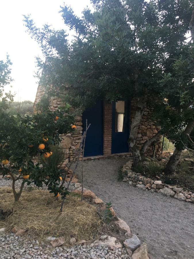 Finca Florecer Tivenys Εξωτερικό φωτογραφία